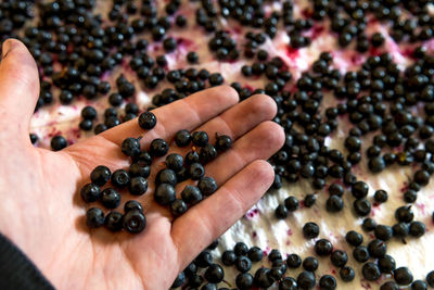 Cropped hand of mid adult man cleaning blueberries on table