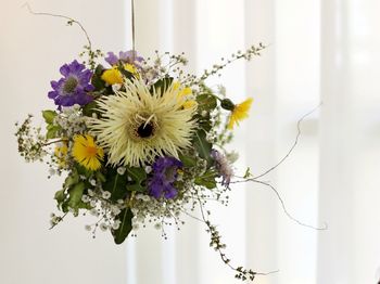 Close-up of white flowers in vase