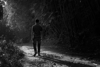 Rear view of man walking in forest