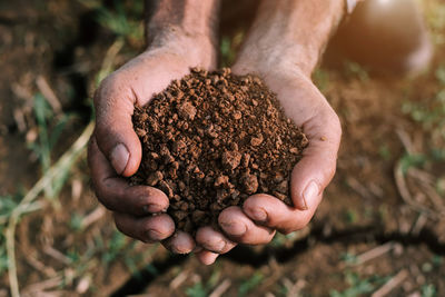 soil