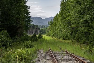 Railroad tracks amidst trees in forest against sky