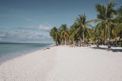 Scenic view of palm trees on beach against sky