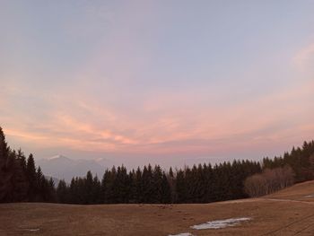 Trees on field against sky during sunset