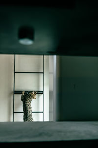 Close-up of wooden door