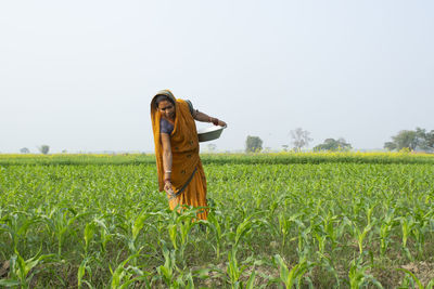 Indian woman farmer in sari giving fertiliser in corn field 