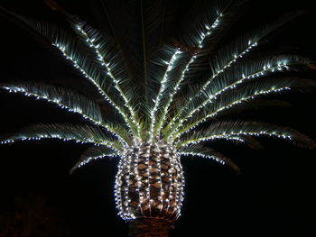 Low angle view of illuminated sky at night