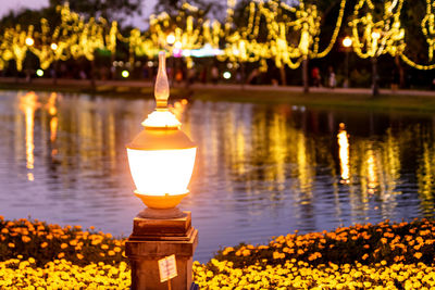 Light shots of lamps beside the pond at night