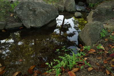 High angle view of rocks by lake