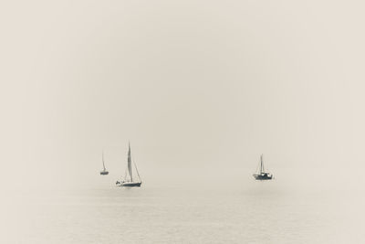 Sailboat sailing on sea against clear sky