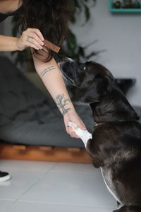 Midsection of woman with dog on floor