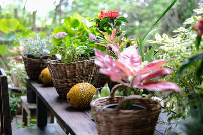 Flower and green plant leaves in wicker basket decorating on terrace balcony