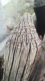 Close-up of wooden plank