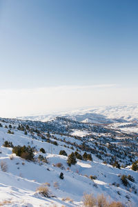 Panorama of the tien shan mountains, which opens from the top of a mountain pass in the resort