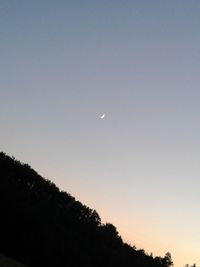 Low angle view of silhouette trees against clear sky