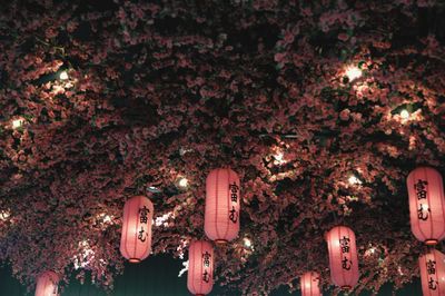 Low angle view of illuminated lanterns hanging at night