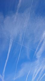 Low angle view of trees against blue sky