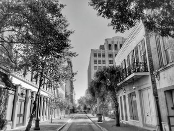 Trees in city against sky
