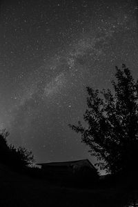 Low angle view of trees against sky at night