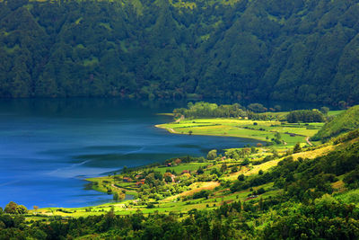 Scenic view of lake amidst trees in forest against sky