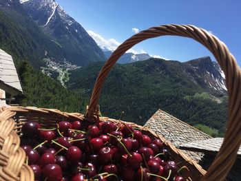 Close-up of fruits in basket against mountain range