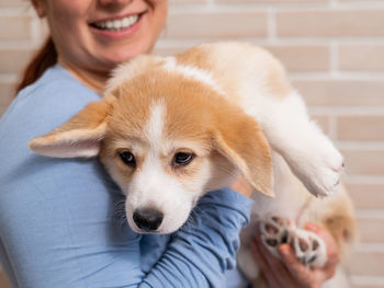 Close-up of dog