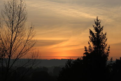 Silhouette trees against sky during sunset