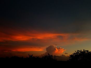 Silhouette trees against sky during sunset