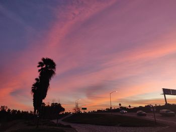 Silhouette palm trees on street against orange sky