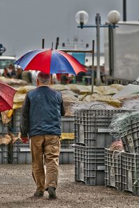 Rear view of man with umbrella walking at harbor