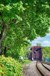 Railroad track amidst trees against sky