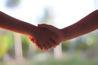 Close-up of hands holding leaf