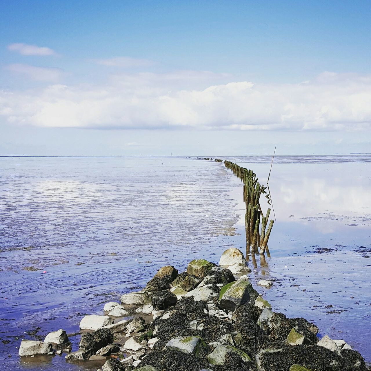 water, sky, sea, tranquility, tranquil scene, scenics, blue, horizon over water, beauty in nature, nature, cloud - sky, cloud, rock - object, day, idyllic, outdoors, power line, reflection, no people, plant