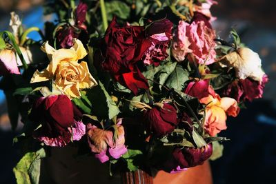 Close-up of rose bouquet