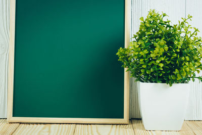 Close-up of potted plant on table against wall