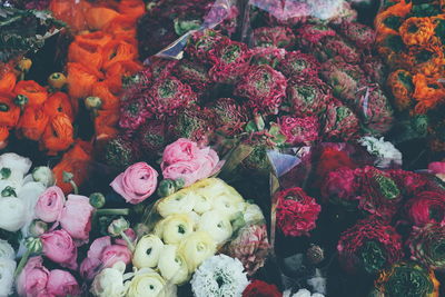 Full frame shot of multi colored ranunculus flowers