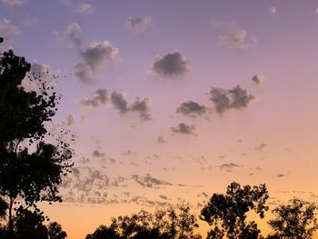 Low angle view of silhouette trees against sky at sunset