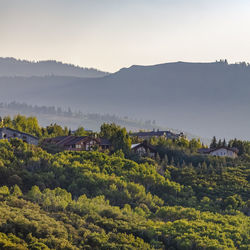 High angle view of trees and plants against sky