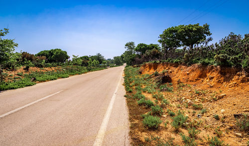 Road amidst trees against sky