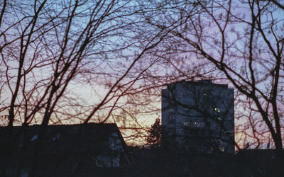 Low angle view of silhouette bare trees against sky