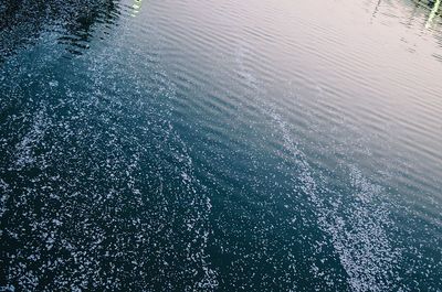 High angle view of swimming pool