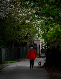 Rear view of man walking on road