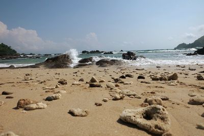 Scenic view of beach against sky