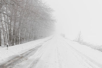 Snow covered road amidst trees during winter