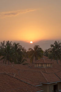 Scenic view of palm trees and building against sky during sunset