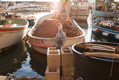 High angle view of boats moored in water