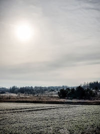 Scenic view of field against sky