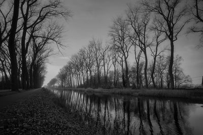 Bare trees by lake against sky