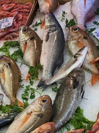 High angle view of fish for sale in market