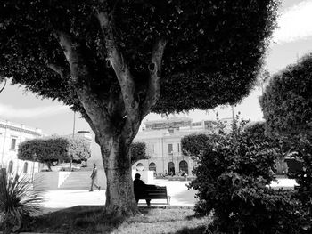 Trees in park against buildings in city