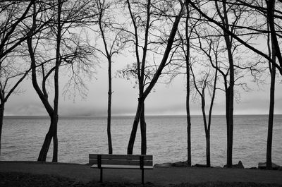 Park bench by sea against sky